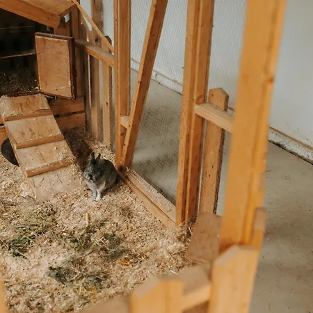 Lejlighed Familienhof Waida Dennheritz