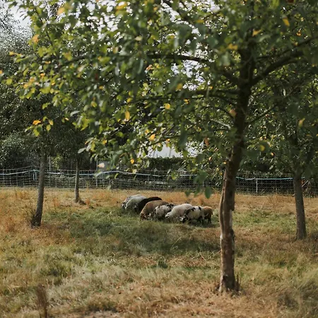 Appartement Familienhof Waida Dennheritz