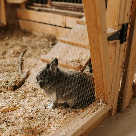 Appartement Familienhof Waida *