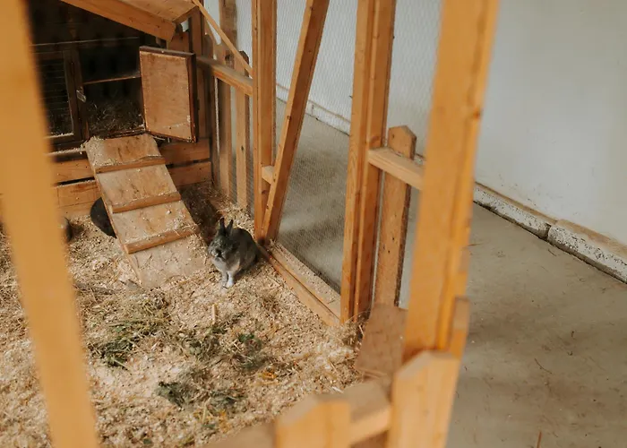 アパート Familienhof Waida Dennheritz