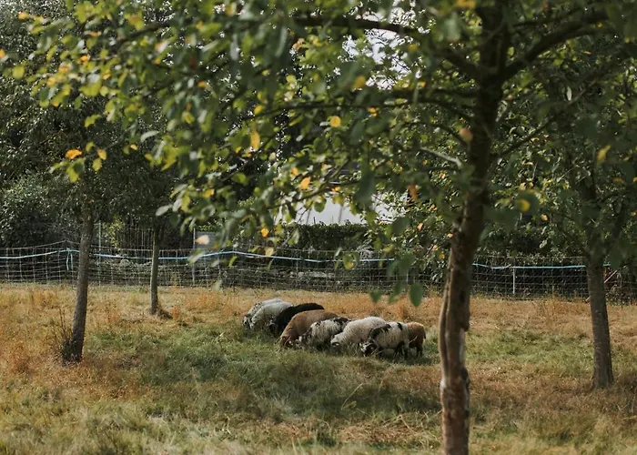 アパート Familienhof Waida Dennheritz