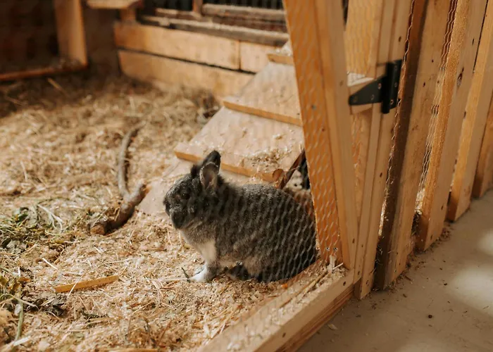 アパート Familienhof Waida *